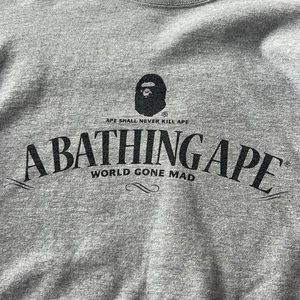 A bathing ape, world gone mad sweater